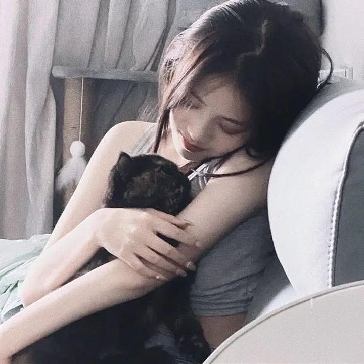 顾问先生有问题
