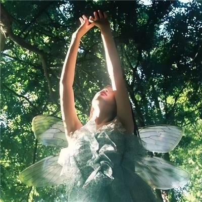 索尔菲雷诺之战